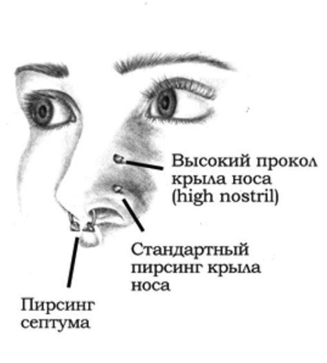 Как избежать инфекции при проколе крыла носа
