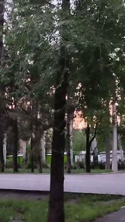 Как избежать размывания краски на дереве после дождя
