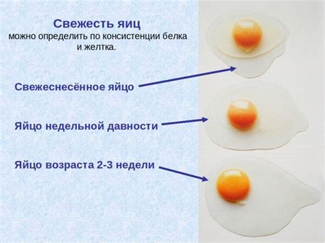 Как определить, что тесто испортилось
