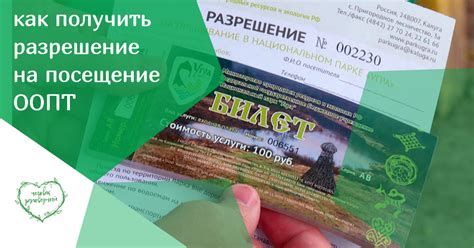 Как получить разрешение на посещение роддома без флюорографии