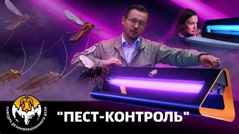 Как правильно использовать фумигатор