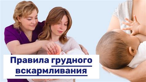 Как правильно употреблять тушенку во время кормления грудью