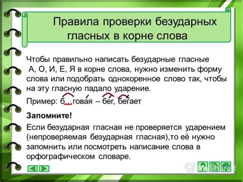 Как проверить безударную гласную в слове заяц: инструкция