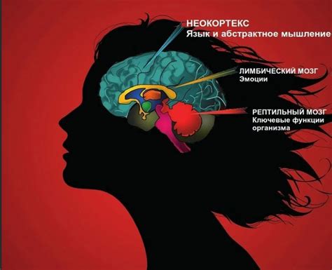 Как свет влияет на химический состав берлитиона