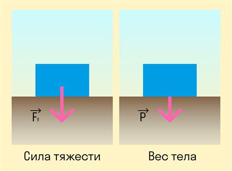 Как сила тяжести влияет на падение предметов