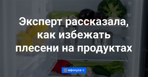 Как снизить риск развития плесени в продуктах на зиму