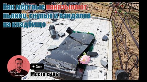 Кладбище - идеальное место для обитания ворон