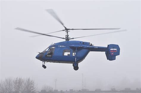 Круговой полет как способ поиска пищи