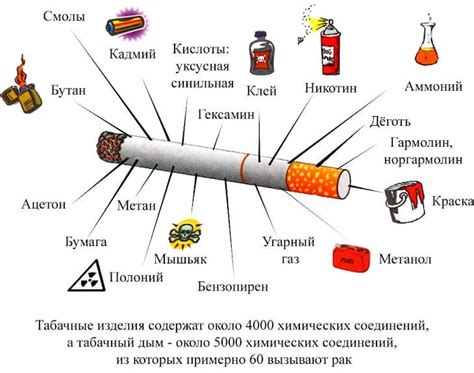 Курение в бутылке: причины и польза