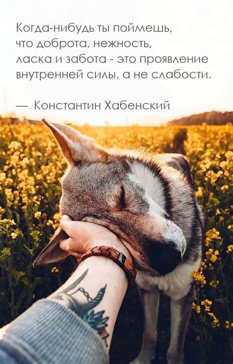 Ласка и нежность