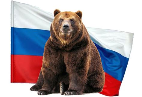 Медведи как символ России