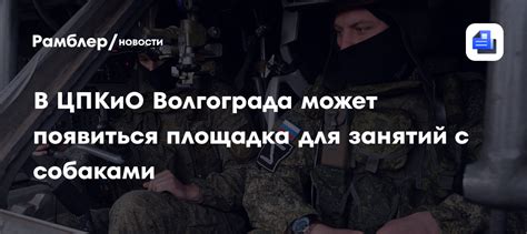 Места для специальных занятий со собаками