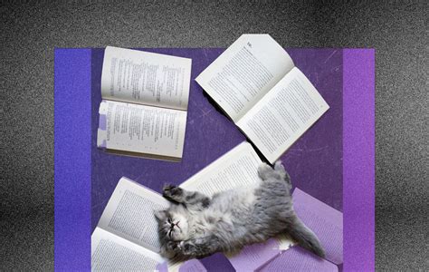 Места их обитания