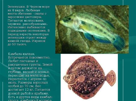 Места обитания в Черном море