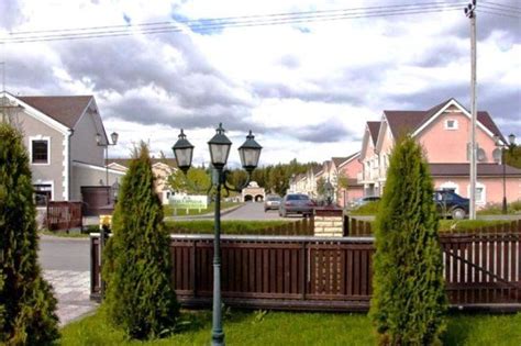 Место для выращивания бамбука в Ленинградской области: выбор земельного участка