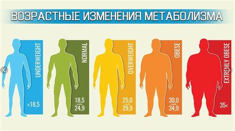 Метаболизм и его изменения