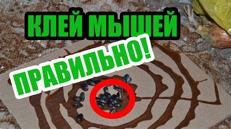 Механизмы избежания мышей попадания на клей
