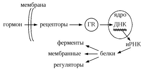 Механизм действия иммуноглобулина на температуру
