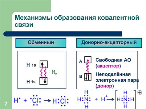 Механизм образования горечи