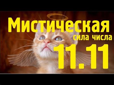 Мистическая сила числа семь