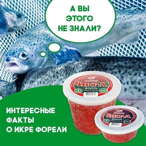 Мифы и правда о чищении кеты от чешуи