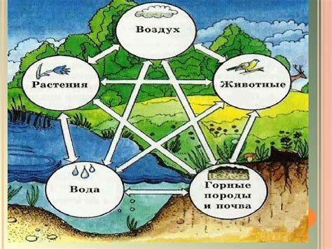 Мифы и реальность: зеленые щенки и их связь с природой