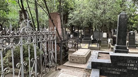 Мифы о вреде вербы на кладбище