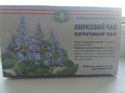 Можжевельник в чае: преимущества и особенности