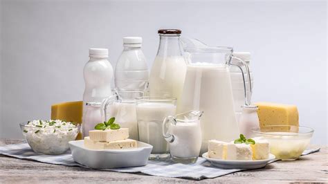 Молочные продукты в рационе для поддержания здоровья