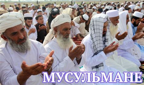 Мусульмане и КФС: вопросы
