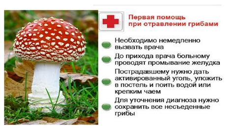 Наличие цинка в природной среде