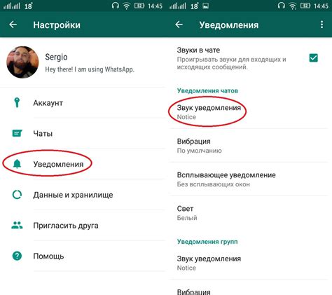 Настройки звука для Ватсап не правильно настроены