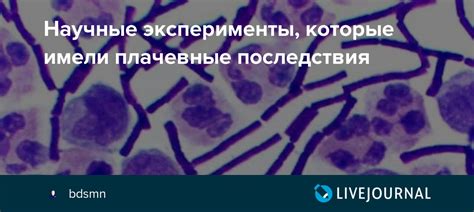 Научные последствия