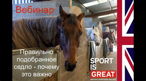 Неверно подобранное седло