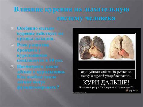 Негативное влияние на дыхательную систему