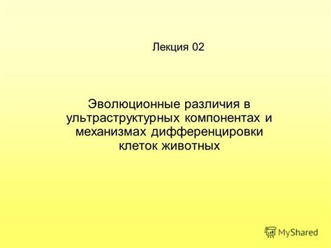 Неисправность в механизмах и компонентах