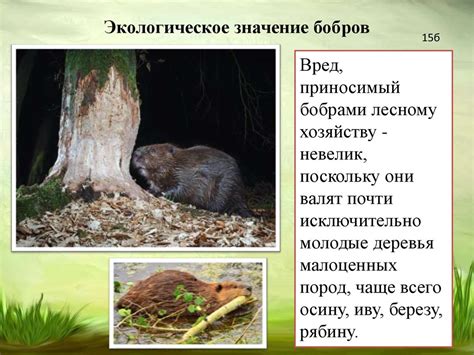 Необходимость сохранения видового многообразия