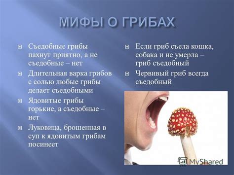 Неправильная обработка препарата