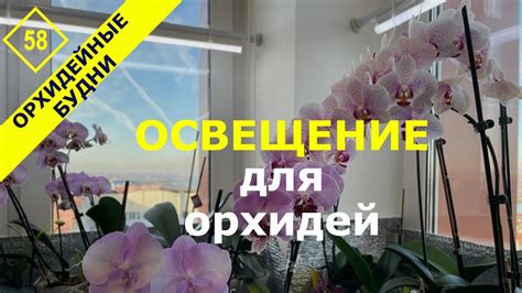 Неправильное освещение