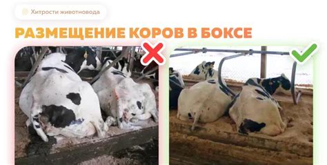 Неправильное размещение кровати