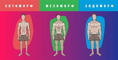 Несоответствие типа телосложения и джинсовой модели