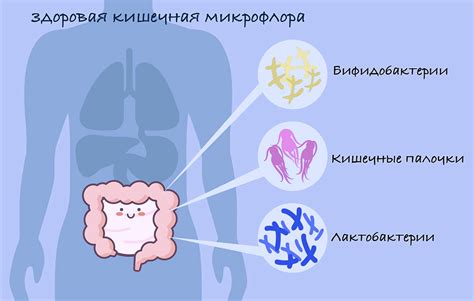 Нестабильная микрофлора кишечника