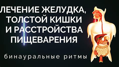 Облегчение процесса пищеварения