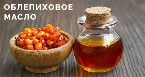Облепиховое масло для котов: состав и польза