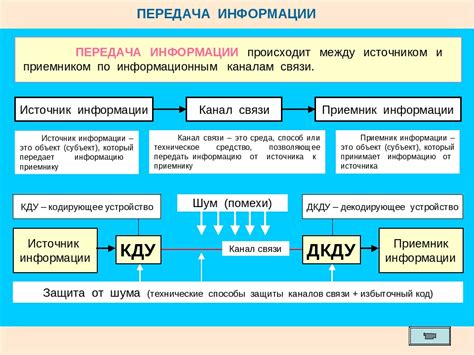 Обучение и передача информации в мышиных сообществах