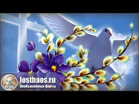 Обычаи посещения кладбища с вербой