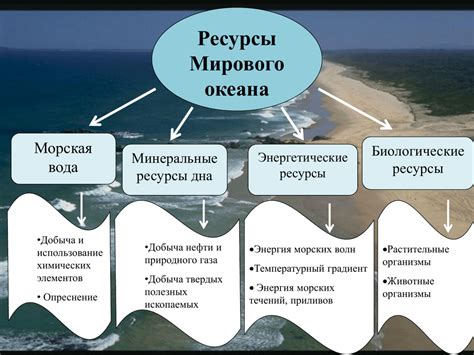 Океан как источник ценных природных ресурсов