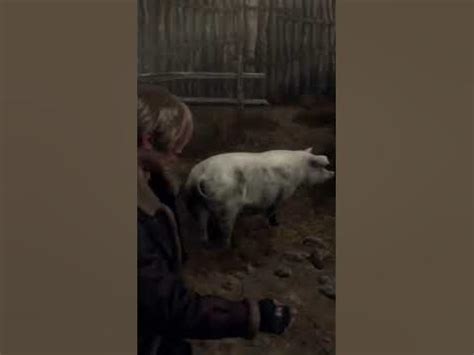 Опасная свинья на голодном питании