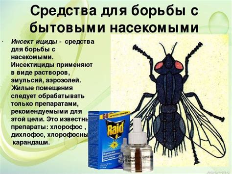 Опасность лосиной мухи в квартире