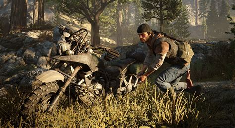 Описание игры "Пепел гнезда Days Gone"